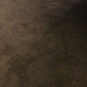 Meet your Posher, Trish